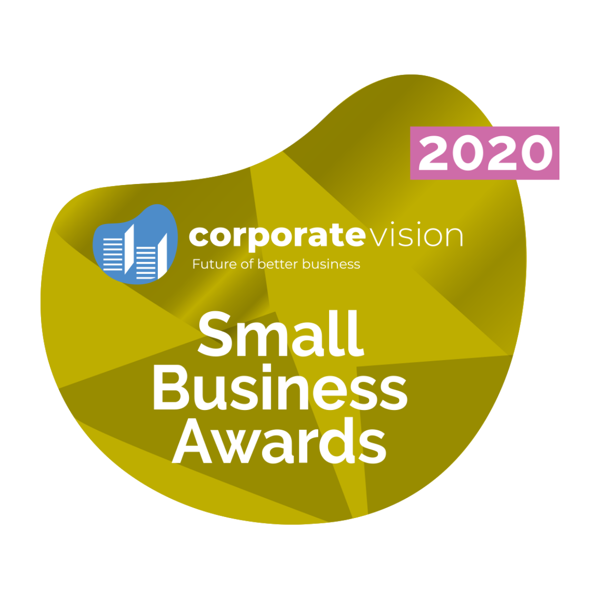 The Social Business Company Wins Small Business Award