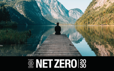 We Commit to Net Zero by 2030