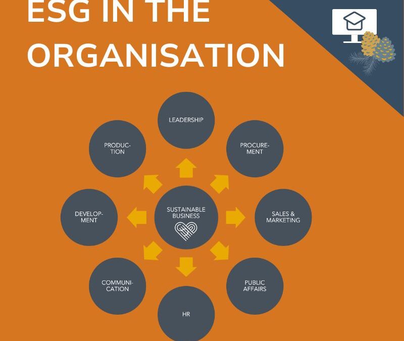 Webinar: Getting ESG into the Heart of Your Organisation